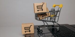 Logística Inversa del Comercio Electrónico